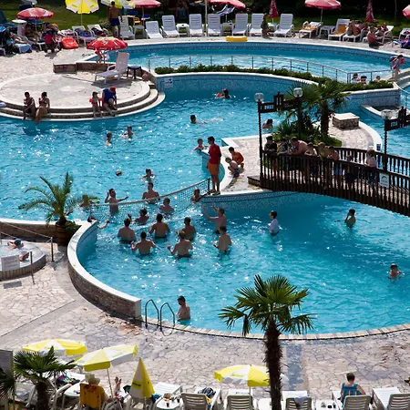 Hrizantema 4* Napospart