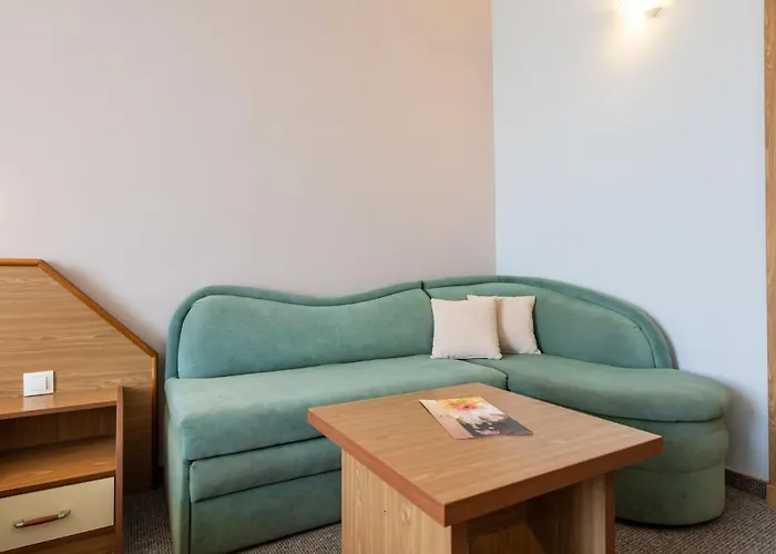 Hrizantema Napospart