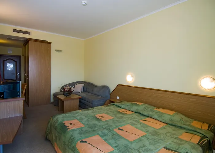 Hrizantema 4* Napospart