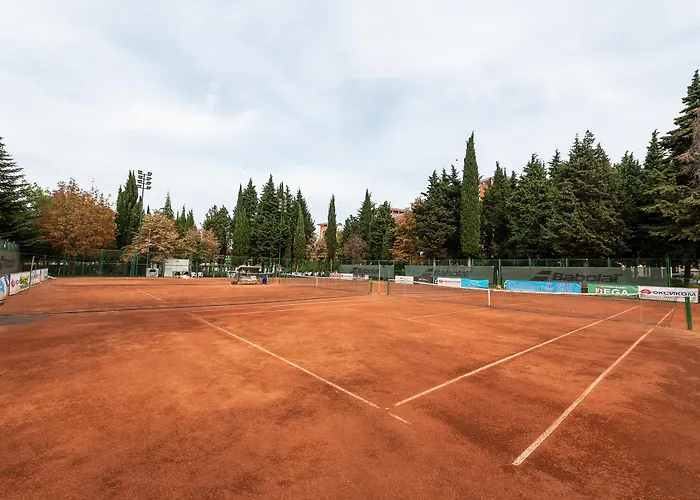 Szálloda Hrizantema 4*