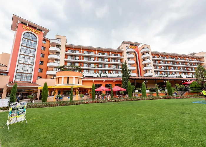 Hrizantema 4* Napospart