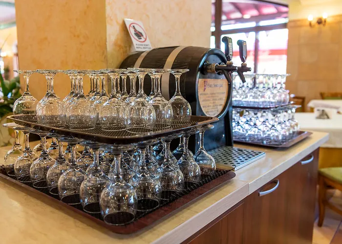 Hrizantema Szálloda 4*