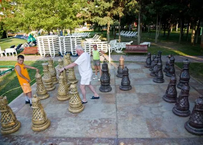 Hrizantema Szálloda