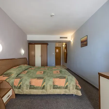 Hrizantema Солнечный берег