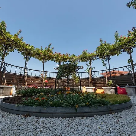 Hotel Hrizantema Sluneční pobřeží