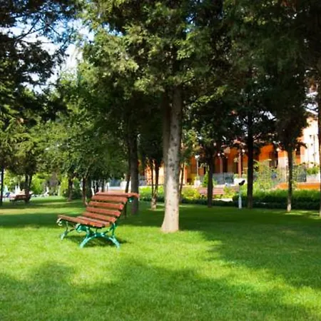 Hrizantema Солнечный берег