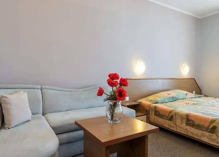 Hrizantema Hotel Sluneční pobřeží