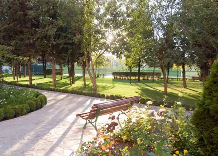 Hrizantema Hotel Sluneční pobřeží