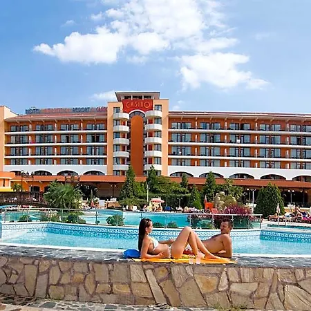 Hrizantema Sunny Beach