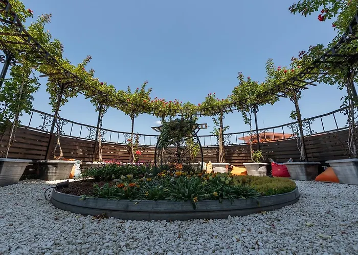 ホテル Hrizantema サニービーチ