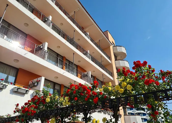 Hrizantema 酒店 4*