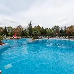 Hrizantema Sunny Beach