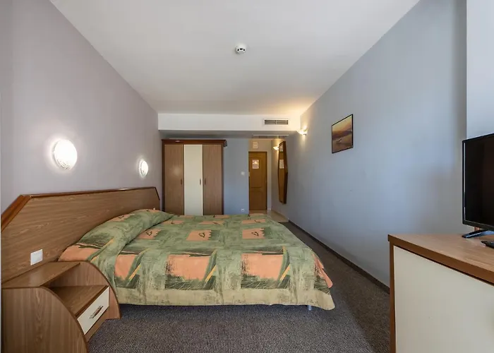 Hrizantema Солнечный берег