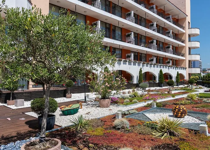 Hrizantema Отель