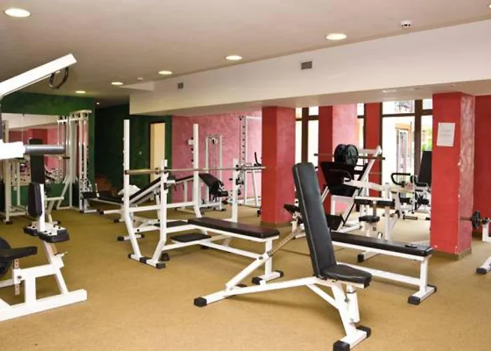 Отель Hrizantema Солнечный берег