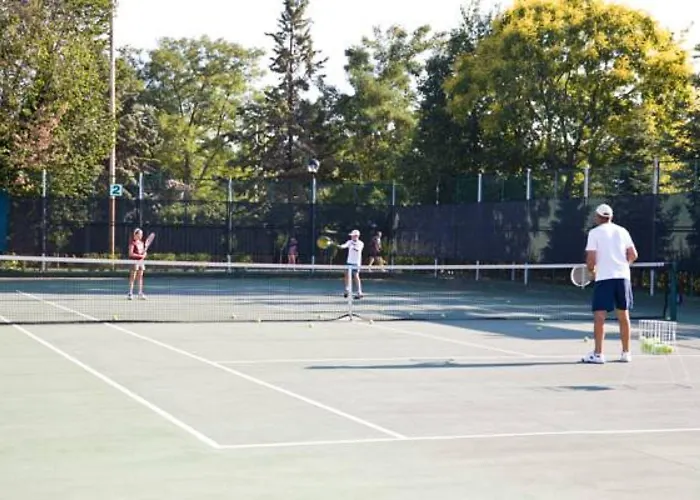 Hrizantema Отель