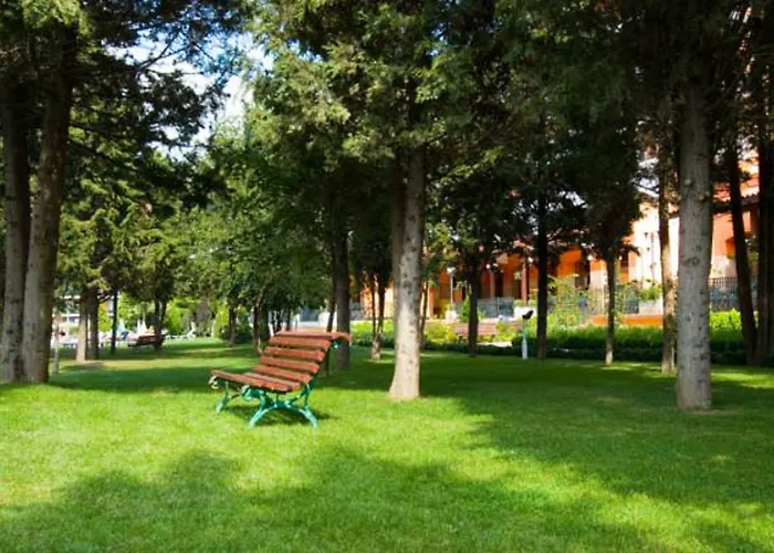 Hrizantema Солнечный берег